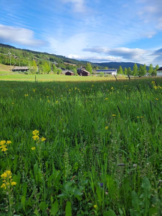 Friends & Family Apartment At Hafjell Alpinlandsby/Oyer Center Kültér fotó