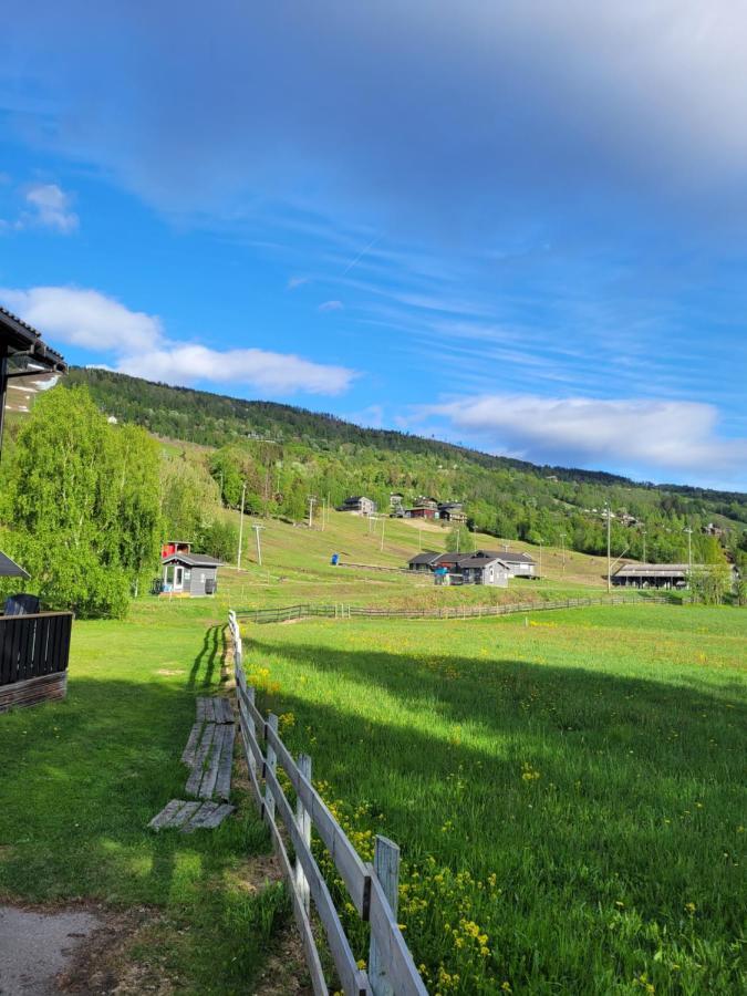 Friends & Family Apartment At Hafjell Alpinlandsby/Oyer Center Kültér fotó
